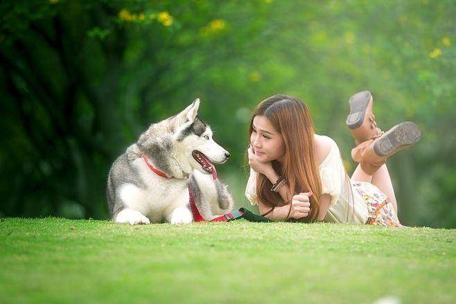 链分析：现状、痛点、需求、趋势开元棋牌app宠物食品行业产业(图3)
