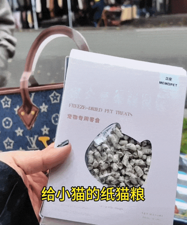 竟被外国铲屎官买爆：我的猫生前最爱吃三文鱼！开元棋牌网站小姐姐在国外摆摊卖猫咪纸扎用品(图1)