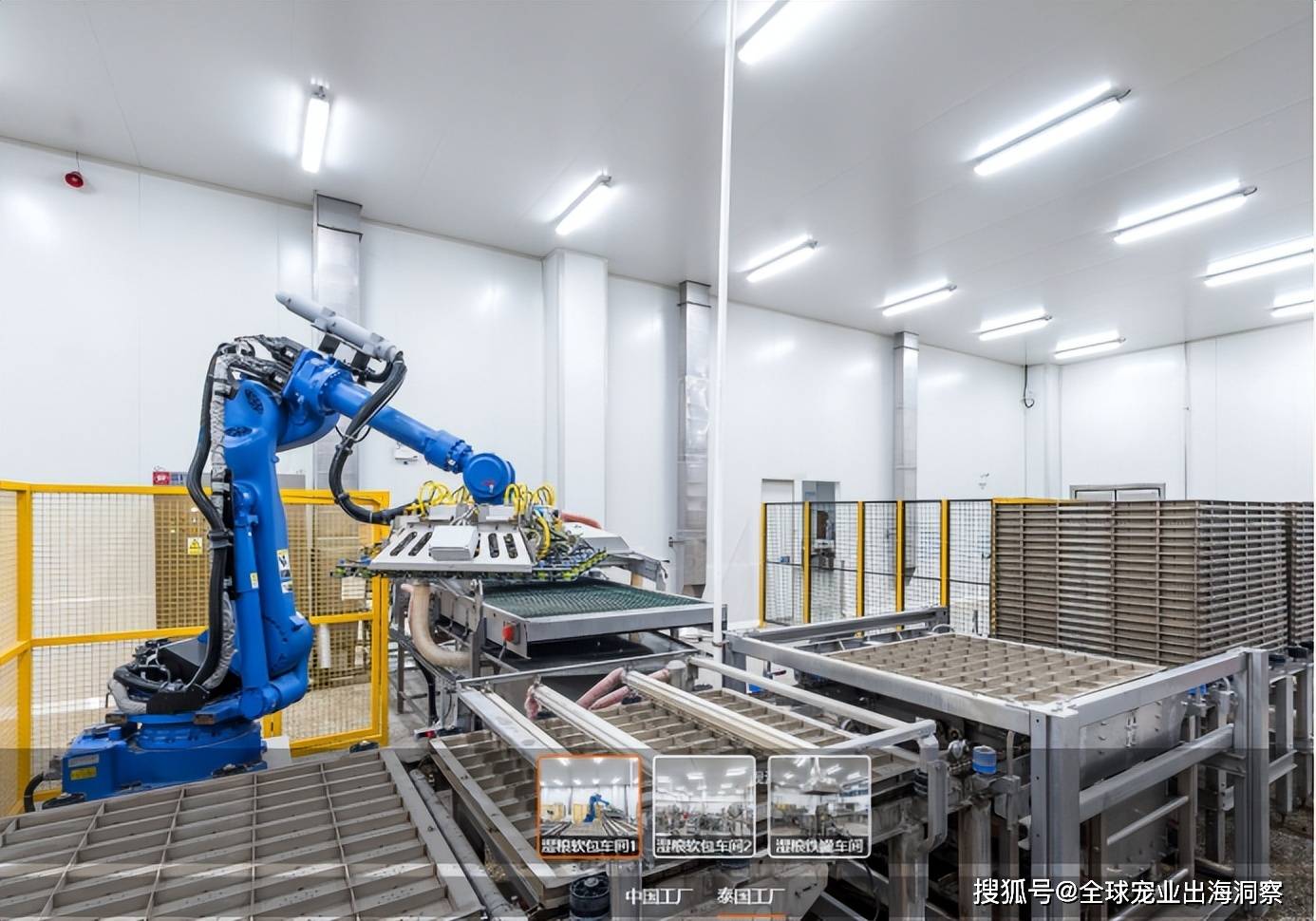 宠物行业迎近10亿大项目乖宝宠物出海建高端宠物食品大厂